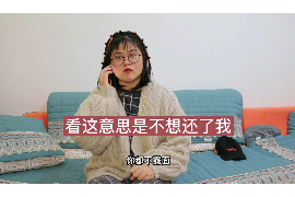 赵县企业清欠服务